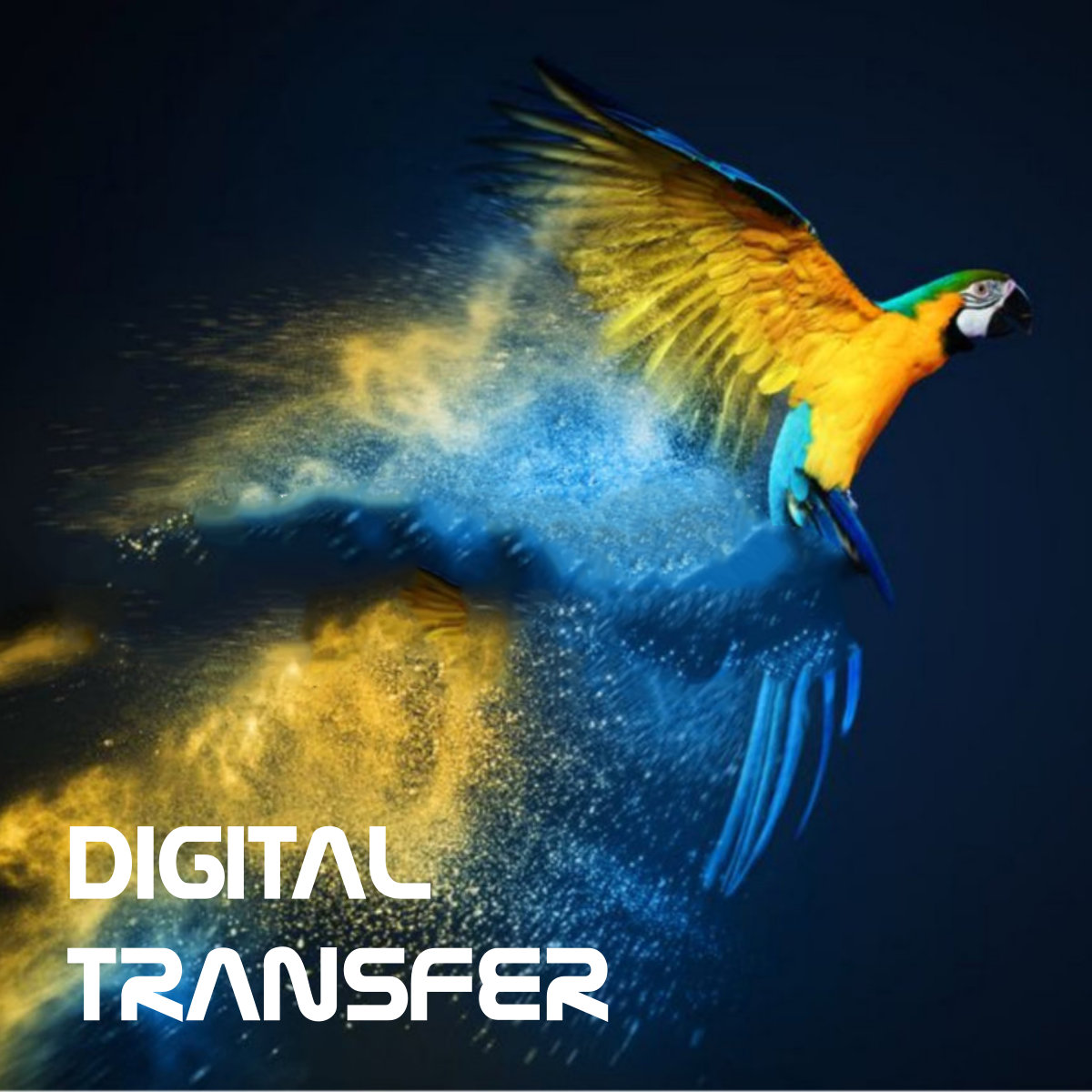 Digitaltransferdruck Textildruck